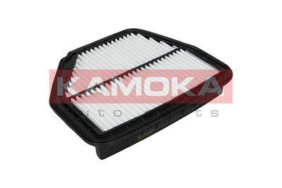 Air Filter F226901