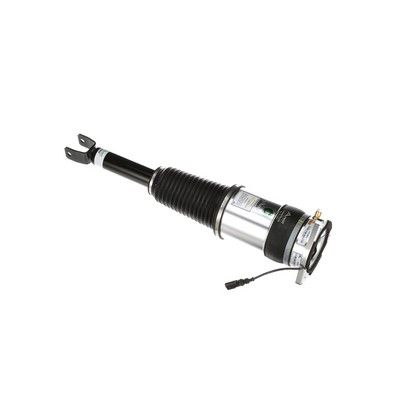 LUFTFEDERBEIN Arnott AS3031 66