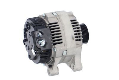 GENERATOR / ALTERNATOR REMANTE 011003000010R 39