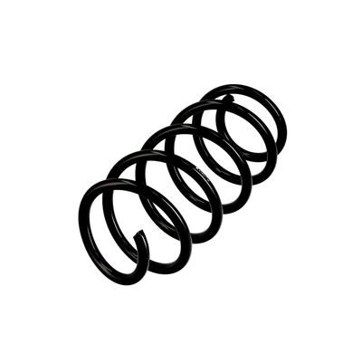 ARC SPIRAL EIBACH R10371 3