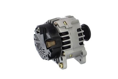 GENERATOR / ALTERNATOR REMANTE 011003000369R 38