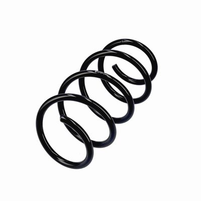 ARC SPIRAL EIBACH R20284 3