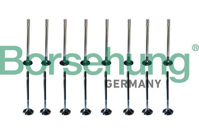 SET SUPAPE SUPAPă ADMISIE/EVACUARE Borsehung B13403