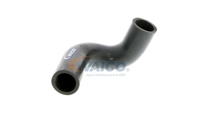 FURTUN AERISIRE CHIULASA VAICO V401784 53