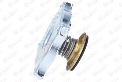 BUSON RADIATOR BIRTH 8088 3