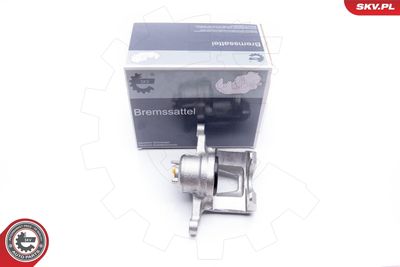 Brake Caliper 34SKV172