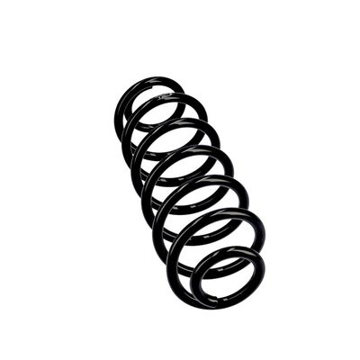 ARC SPIRAL EIBACH R10782 12