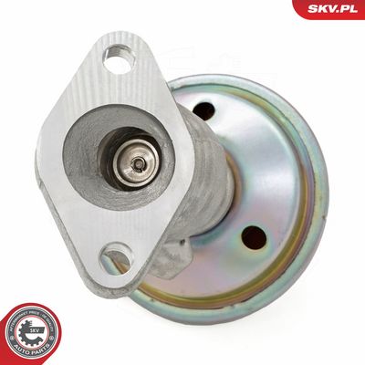 AGR-Ventil ESEN SKV 14SKV258