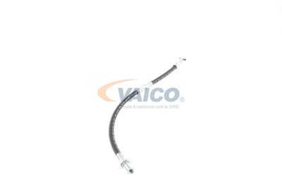 FURTUN FRANA VAICO V704100 41