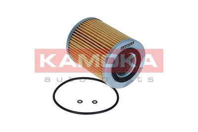 Oil Filter F129201