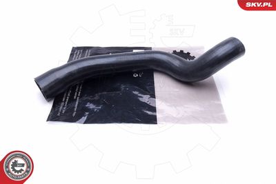 FURTUN EAR SUPRAALIMENTARE