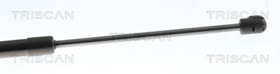 AMORTIZOR PORTBAGAJ TRISCAN 871082007 2