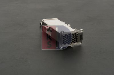 KüHLER ABGASRüCKFüHRUNG AKS DASIS 040073N 9