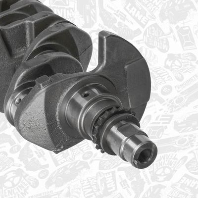ARBORE COTIT ET ENGINETEAM HK0228 3