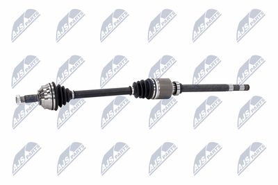 PLANETARA NTY NPWCT181 22