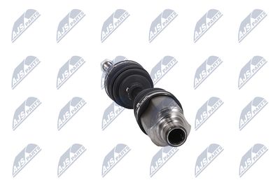 PLANETARA NTY NPWCH036 14