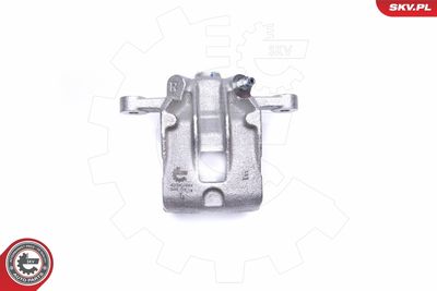 Brake Caliper 42SKV464