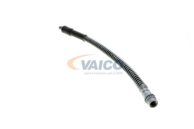 FURTUN FRANA VAICO V464113 19