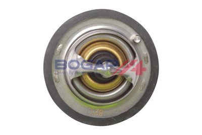 TERMOSTAT LICHID RACIRE BOGAP N4245105 2