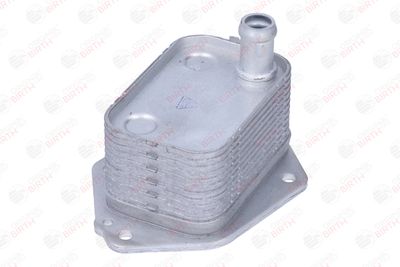 RADIATOR ULEI ULEI MOTOR BIRTH 80355 6