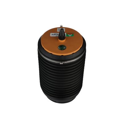 LUFTFEDER FAHRWERK Arnott A3892 64