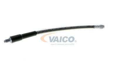 FURTUN FRANA VAICO V464113 56