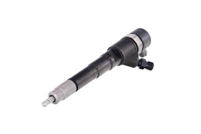 INJECTOR REMANTE 002003000031R 62