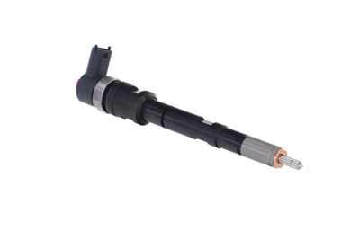 INJECTOR REMANTE 002003001196R 48
