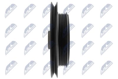 FULIE CUREA ARBORE COTIT NTY RKPTY008 2