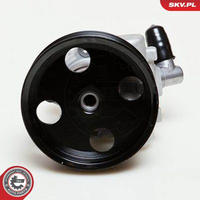 Servopumpe ESEN SKV 10SKV039