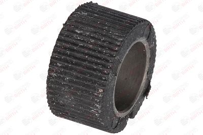 BUCSA ARBORE DE DIRECTIE BIRTH 4848 11