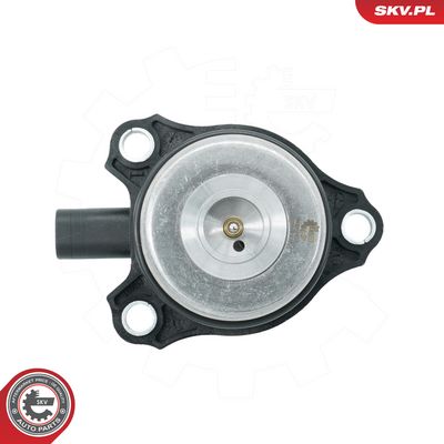 Centrálny magnet pre nastavovanie vačkového hriadeľa ESEN SKV 39SKV903