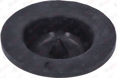 SAIBA ARC BIRTH 53805 12