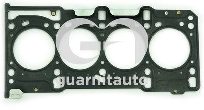 GUARNITAUTO 101081-5253 Прокладка ГБЦ  для FIAT IDEA (Фиат Идеа)