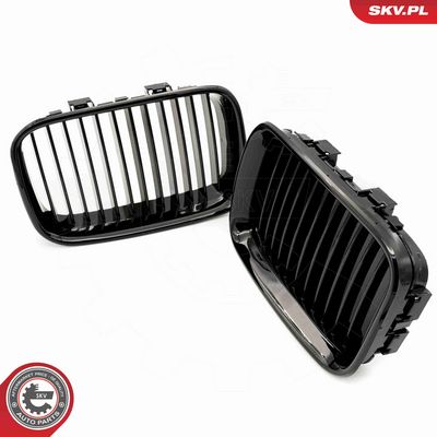 GRILA RADIATOR ESEN SKV 66SKV043 3