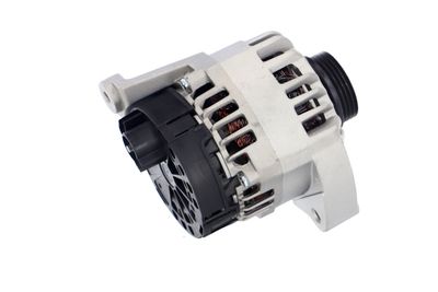 GENERATOR / ALTERNATOR REMANTE 011003000012R 39