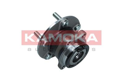 Wheel Bearing Kit 5500221