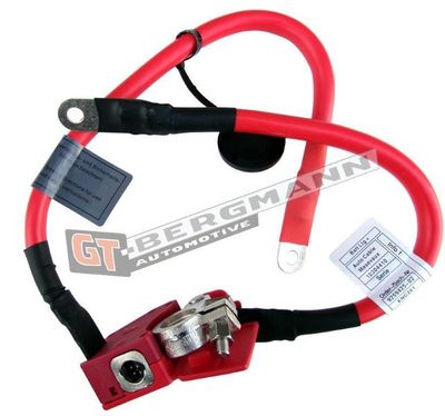 GT-BERGMANN Automotive Akumuliatoriaus adapteris