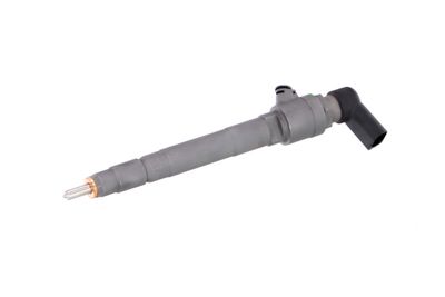 INJECTOR REMANTE 002003001053R 65