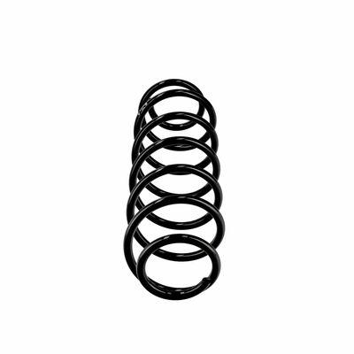 ARC SPIRAL EIBACH R10496 1