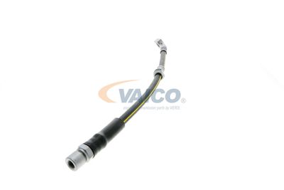 FURTUN FRANA VAICO V404110 30