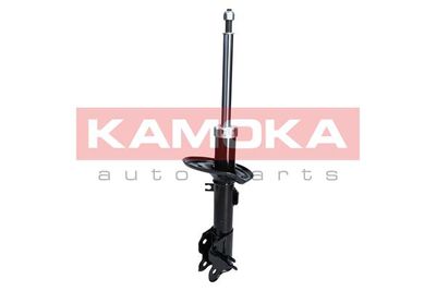 Shock Absorber 2000246