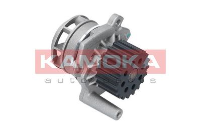 Water Pump, engine cooling T0020