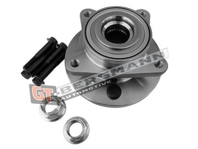 GT-BERGMANN Automotive Rato guolio komplektas