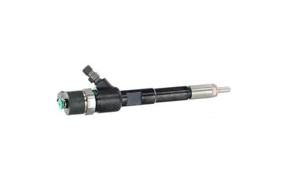 INJECTOR REMANTE 002003002244R 38