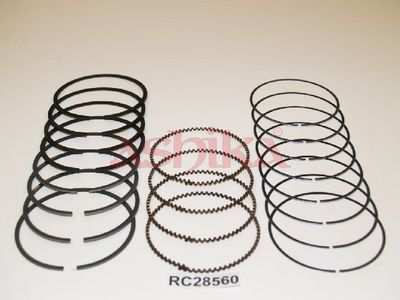 SEGMENT PISTON