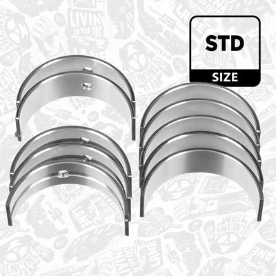 SET RULEMT ARBORE COTIT