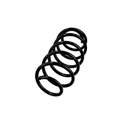 ARC SPIRAL EIBACH R10255 2