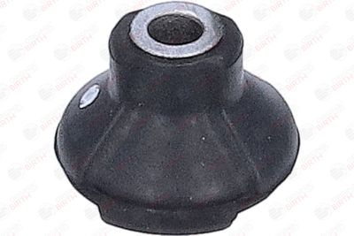 BUCSA ARBORE DE DIRECTIE BIRTH 40609 10