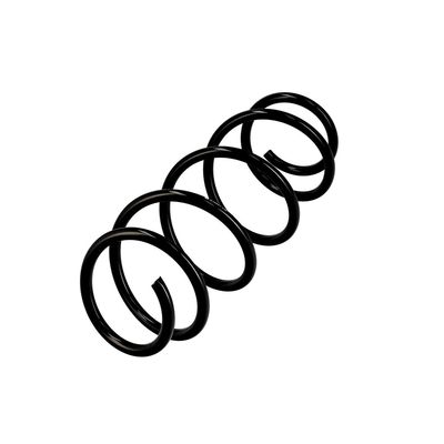 ARC SPIRAL EIBACH R10001 3